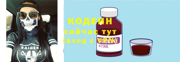 МДПВ Карпинск