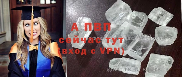 apvp Касимов
