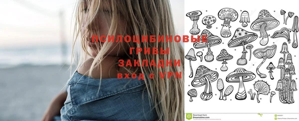 МДПВ Карпинск