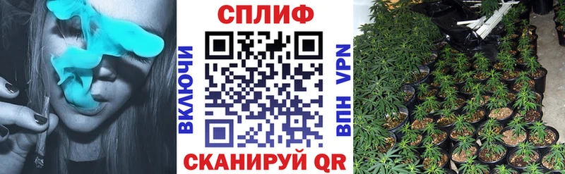 Купить где  Рузаевка  Бошки Шишки MAZAR 